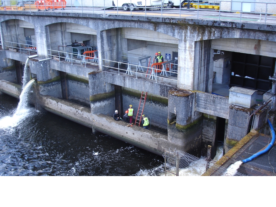 ESB Hydroelectric Station
